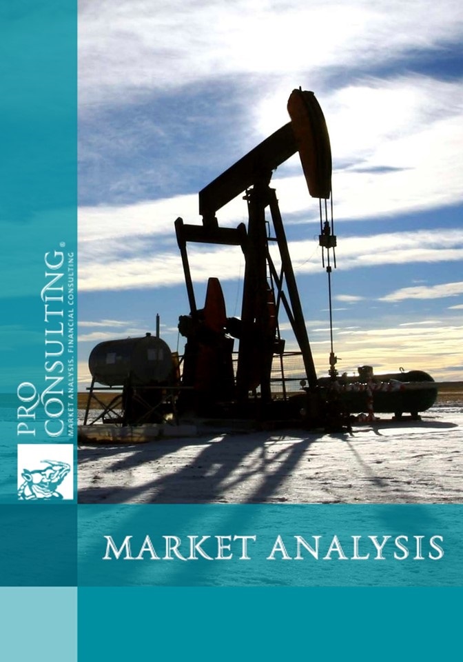 Market research report on oil and gas in Ukraine.  2013